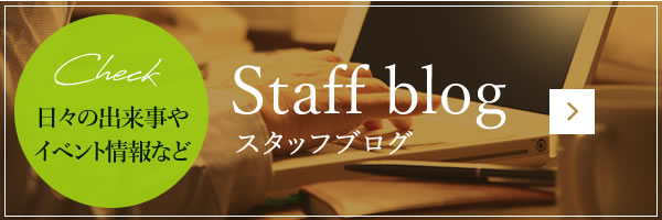 スタッフブログ